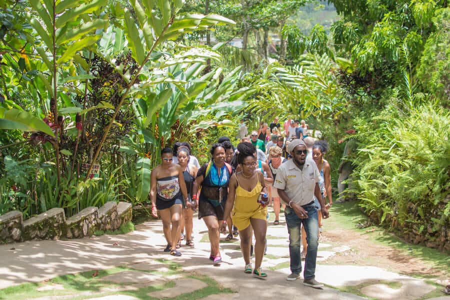 Private Dunn's River Falls, Bob Marley's Nine Miles & Mount Zion Tour