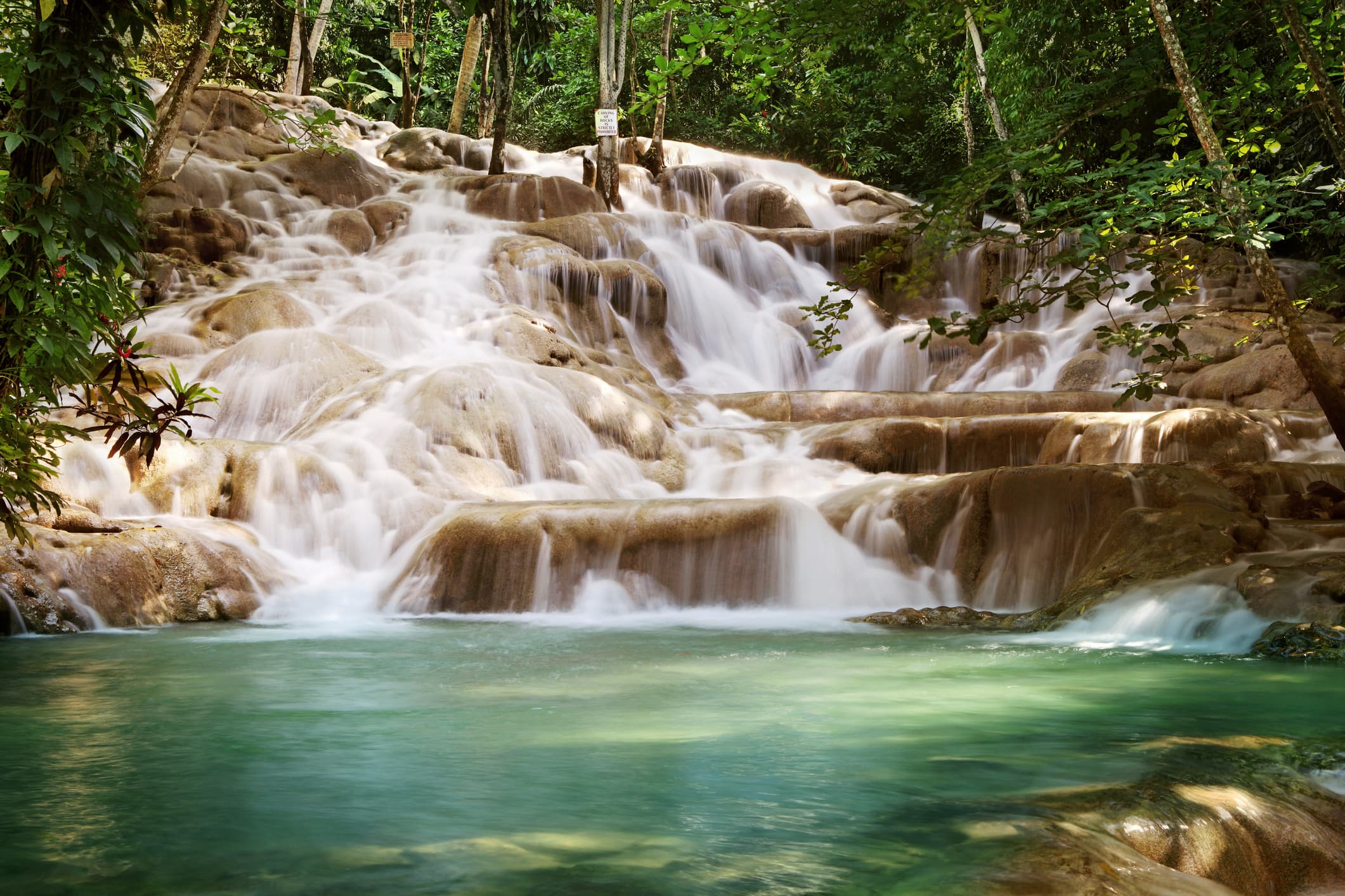 Private Dunn's River & Blue Hole Island Gully Falls Tour