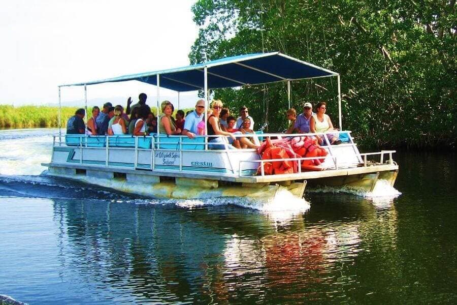 YS Falls, Black River Safari & Floyd's Pelican Bar Tour